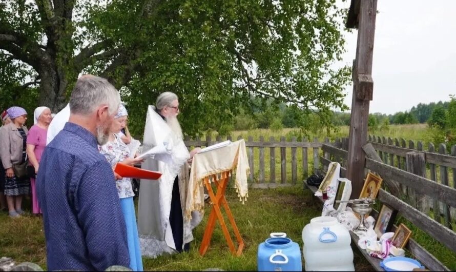 В деревне Бачманова прошел XV Межмуниципальный фестиваль «Гаврилов день»